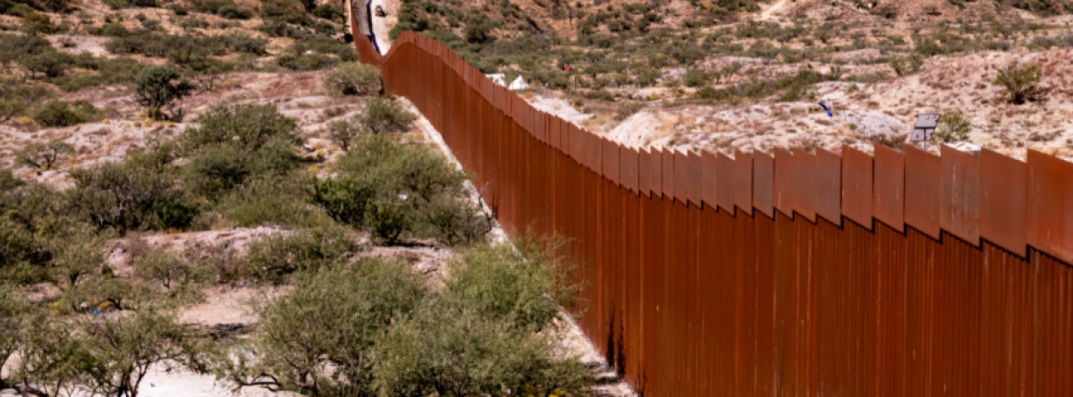 Border and Immigration